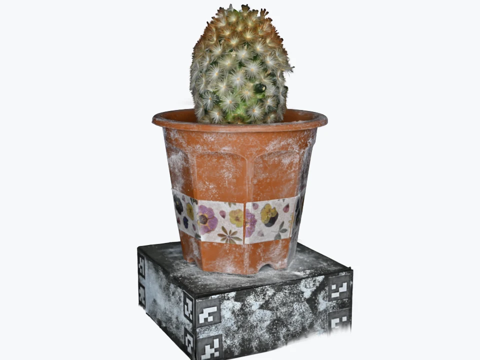 A still of the cactus in its pot on its black stand, from three-quarters above